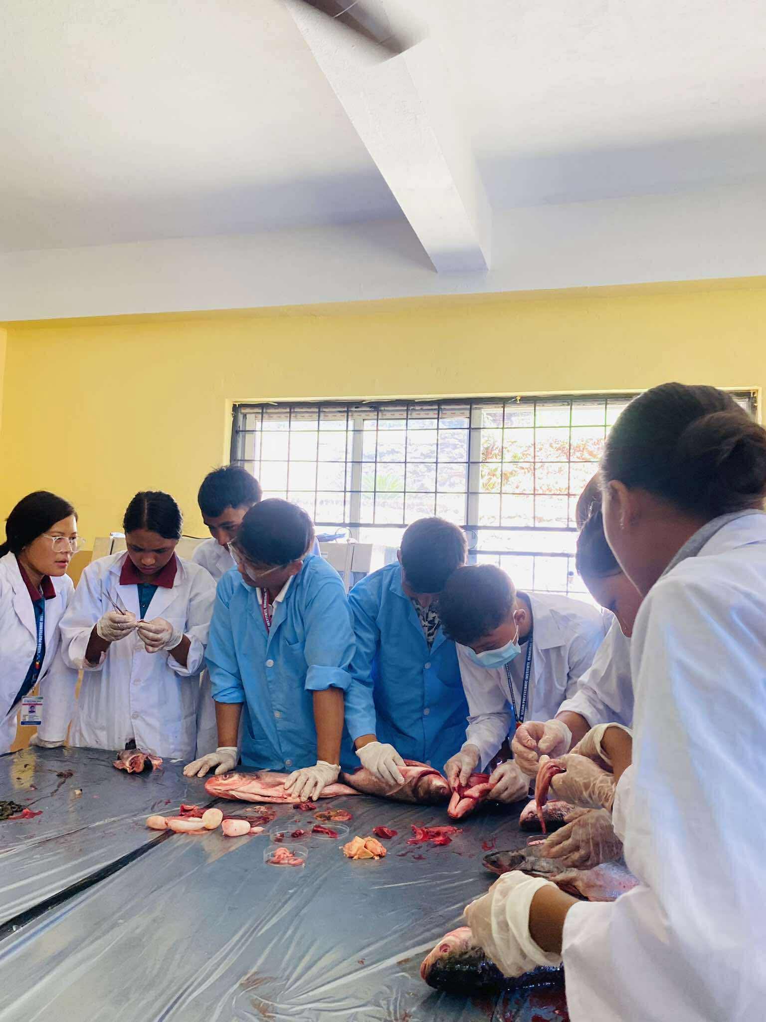 Animal Science